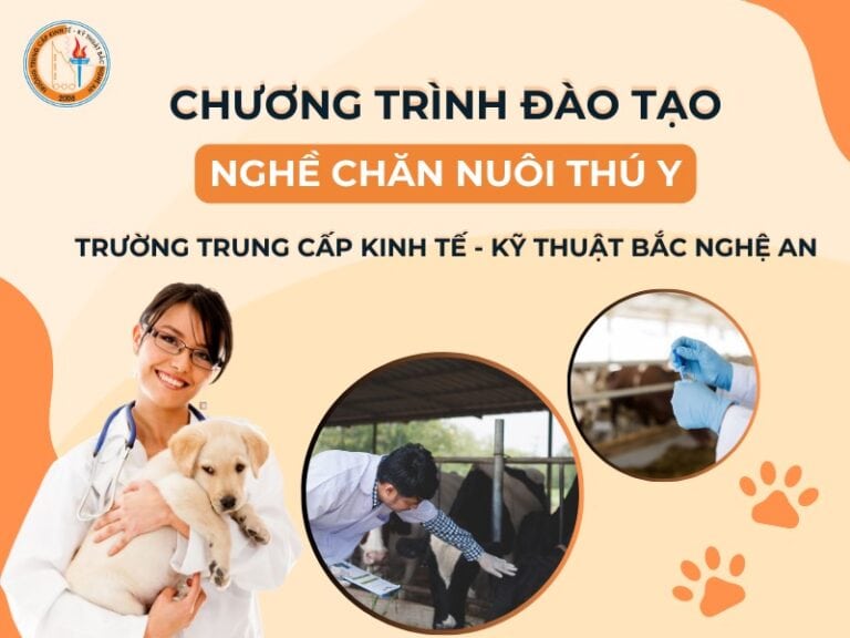 Chương Trình Đào Tạo Nghề Chăn Nuôi Thú Y - Hệ Trung Cấp, Cao Đẳng