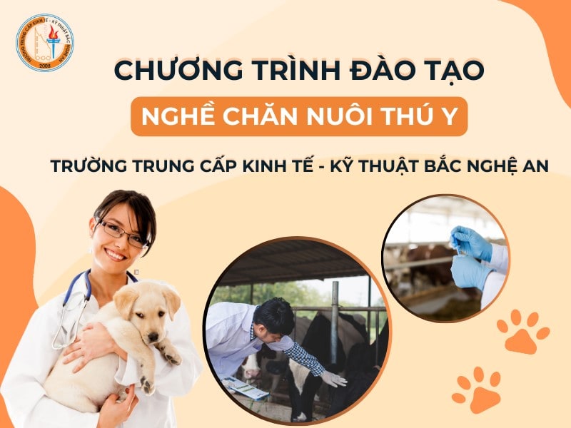 Đào tạo nghề Chăn nuôi Thú y hệ Trung cấp và Cao đẳng