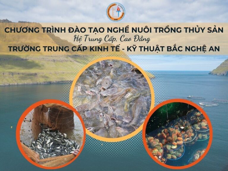 Đào tạo nghề nuôi trồng thủy hải sản