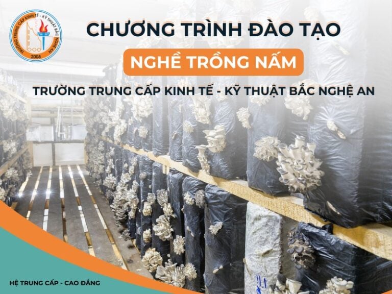 Chương trình đào tạo nghề trồng nấm