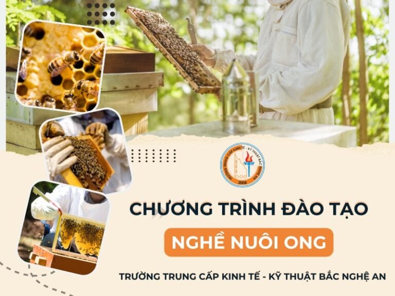 Dạy nghề nuôi ong