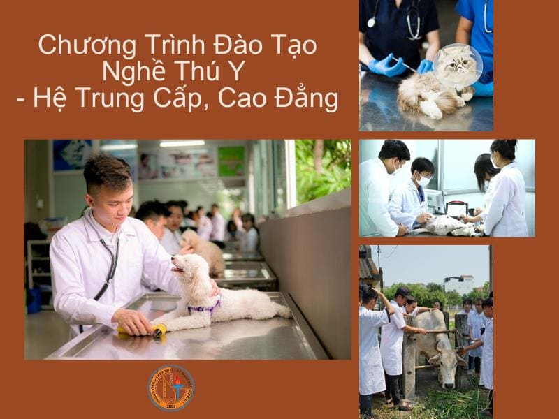 đào tạo nghề thú ý