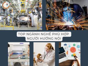 nghề phù hợp người hướng nội