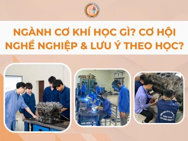 ngành có khí học gì