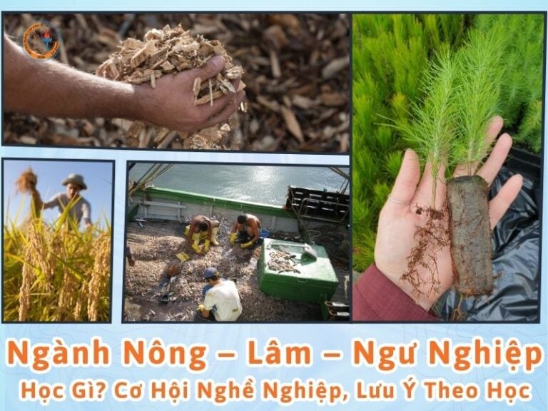 học ngành nông lâm ngư nghiệp