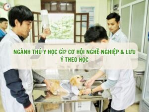 ngành thú y học gì