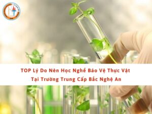 lý do nên học nghề bảo vệ thực vật