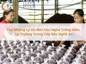 lý do nên học nghề trồng nấm