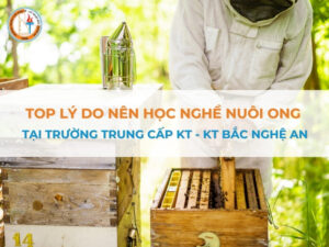 lý do nên học nghề nuôi ong