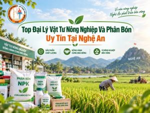 đại lý vật tư nông nghiệp và phân bón tại nghệ an